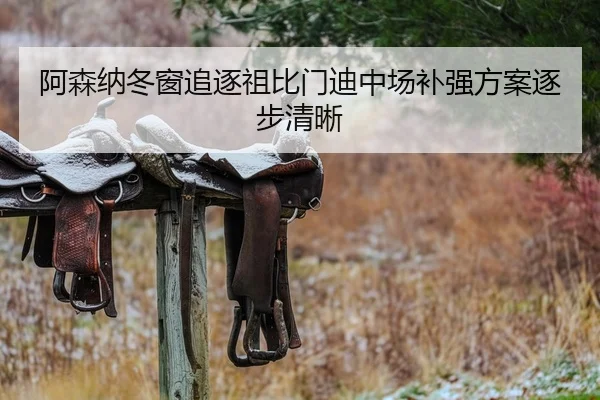阿森纳冬窗追逐祖比门迪中场补强方案逐步清晰 | PG